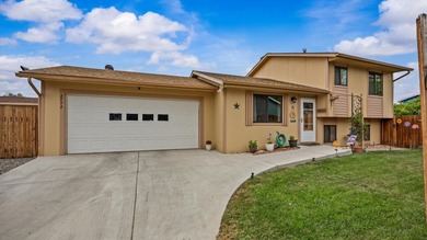 Colorado River Home For Sale in Grand Junction Colorado