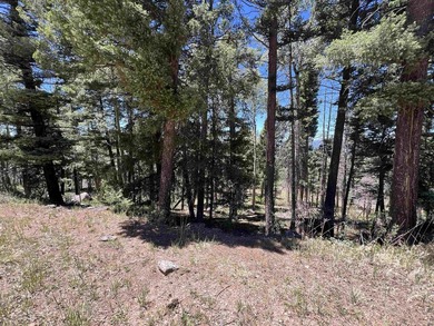 If you're looking for a quiet location that also has nearby - photo 11