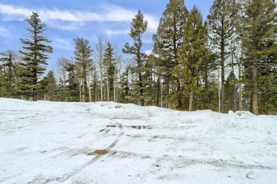 If you're looking for a quiet location that also has nearby - photo 13