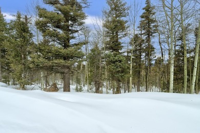 If you're looking for a quiet location that also has nearby - photo 16