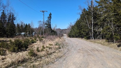 Discover the possibilities on Moose Island! This 0.19-acre lot - photo 8
