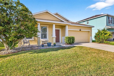 (private lake, pond, creek) Home For Sale in Plant City Florida