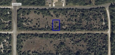 Build your dream home on this 0.23 acre residential lot in the - photo 3