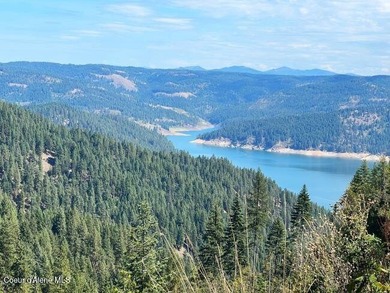 Dworshak Reservoir Acreage For Sale in Lenore Idaho
