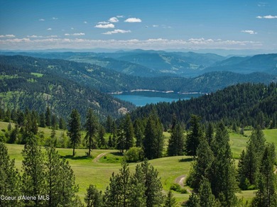 Fantastic 618 acres overlooking the Dworshak Reservoir with - photo 2