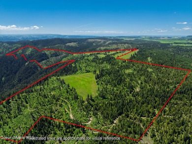 Fantastic 618 acres overlooking the Dworshak Reservoir with - photo 3