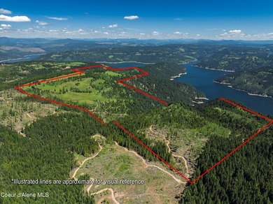 Fantastic 618 acres overlooking the Dworshak Reservoir with - photo 4