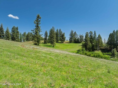 Fantastic 618 acres overlooking the Dworshak Reservoir with - photo 5