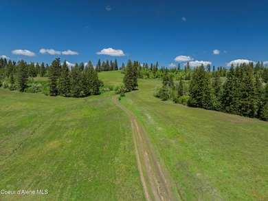 Fantastic 618 acres overlooking the Dworshak Reservoir with - photo 6