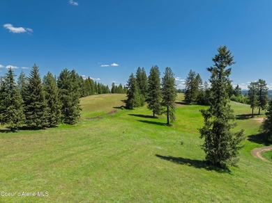 Fantastic 618 acres overlooking the Dworshak Reservoir with - photo 7