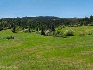 Fantastic 618 acres overlooking the Dworshak Reservoir with - photo 8