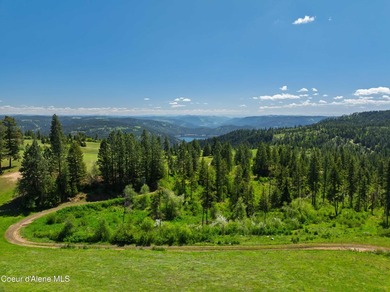Fantastic 618 acres overlooking the Dworshak Reservoir with - photo 9