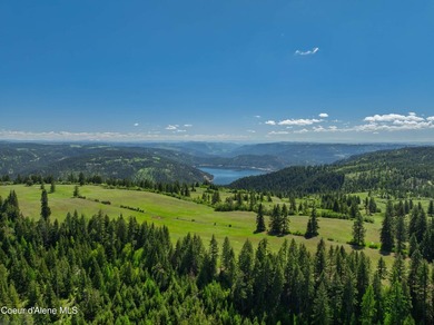Fantastic 618 acres overlooking the Dworshak Reservoir with - photo 10
