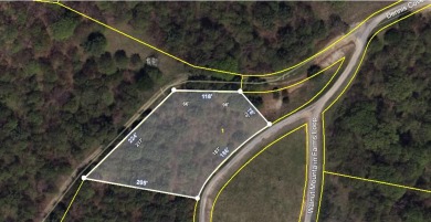 Lake Lot For Sale in Hampton, Tennessee