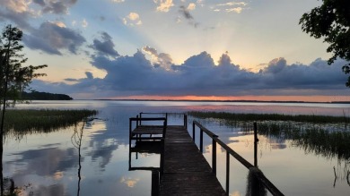 Lake Harris Lot For Sale in Tavares Florida