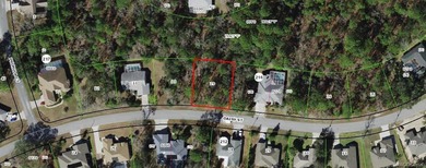 Nice sized .28 acre lot in South Oak Village of Sugarmill Woods - photo 1