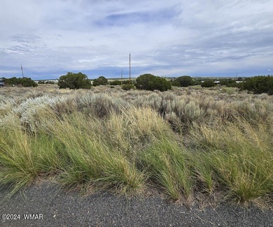 Concho Lake Lot For Sale in Concho Arizona
