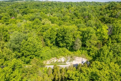Camper-friendly lot near Rough River - photo 12
