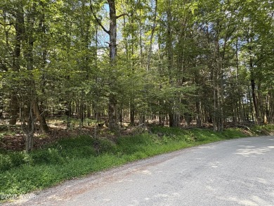 Lake Lot For Sale in Greentown, Pennsylvania