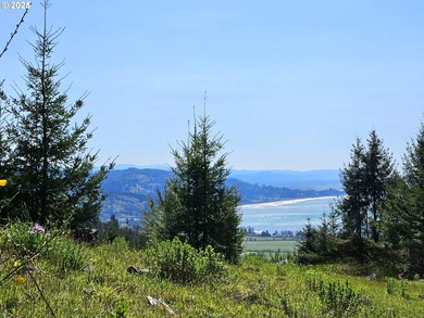 Spectacular Oceanview Acreage - No CC&Rs or HOA! Nestled along a - photo 11