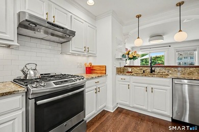 Welcome to 903 Larson Drive, a beautifully renovated three-level - photo 12