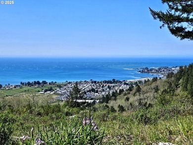 Spectacular Oceanview Acreage - No CC&Rs or HOA! Nestled along a - photo 12