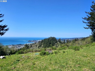 Spectacular Oceanview Acreage - No CC&Rs or HOA! Nestled along a - photo 14