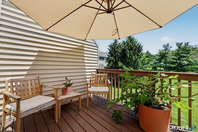Welcome to 903 Larson Drive, a beautifully renovated three-level - photo 16