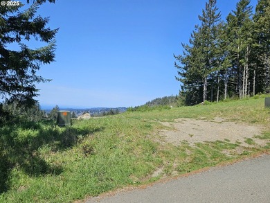 Spectacular Oceanview Acreage - No CC&Rs or HOA! Nestled along a - photo 17