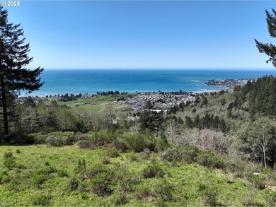 Spectacular Oceanview Acreage - No CC&Rs or HOA! Nestled along a - photo 18