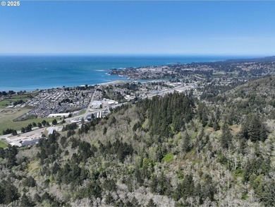 Spectacular Oceanview Acreage - No CC&Rs or HOA! Nestled along a - photo 19