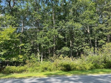 Hemlock Lake Lot For Sale in Lords Valley Pennsylvania