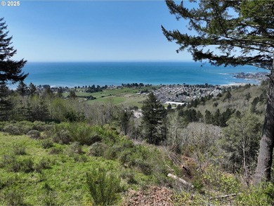 Spectacular Oceanview Acreage - No CC&Rs or HOA! Nestled along a - photo 22