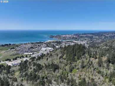 Spectacular Oceanview Acreage - No CC&Rs or HOA! Nestled along a - photo 24