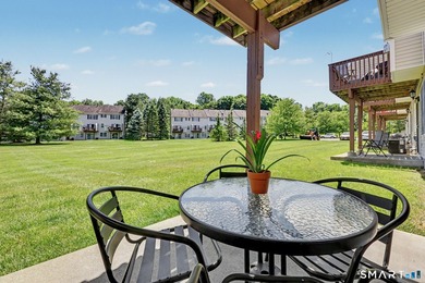 Welcome to 903 Larson Drive, a beautifully renovated three-level - photo 29