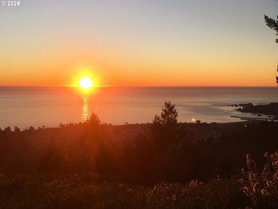 Spectacular Oceanview Acreage - No CC&Rs or HOA! Nestled along a - photo 29