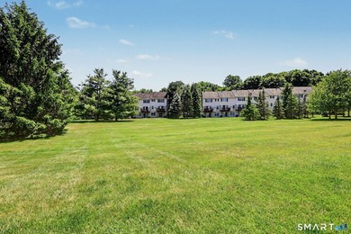 Welcome to 903 Larson Drive, a beautifully renovated three-level - photo 30