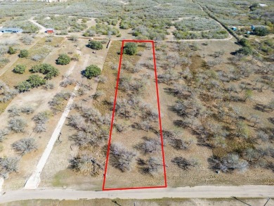 Lake Lot For Sale in Dinero, Texas