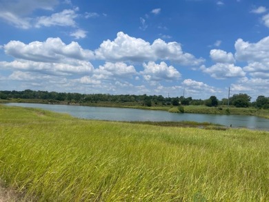 Lake Acreage For Sale in Quinlan, Texas