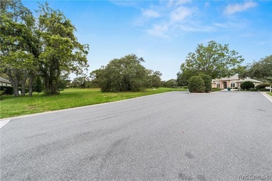 Vacant Lot in Black Diamond Ranch, one of Florida's premier - photo 4
