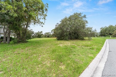 Vacant Lot in Black Diamond Ranch, one of Florida's premier - photo 7