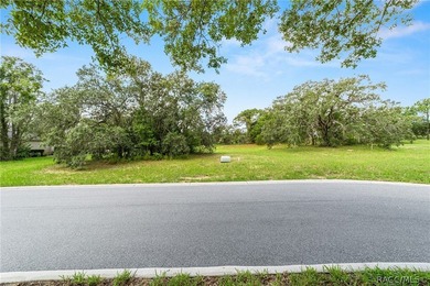 Vacant Lot in Black Diamond Ranch, one of Florida's premier - photo 8