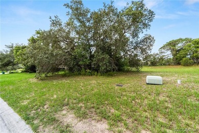 Vacant Lot in Black Diamond Ranch, one of Florida's premier - photo 9