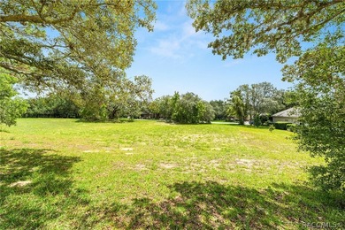 Vacant Lot in Black Diamond Ranch, one of Florida's premier - photo 10