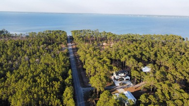 An exceptional opportunity to build in one of South Walton's - photo 11