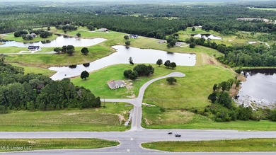 Lake Acreage For Sale in Lucedale, Mississippi