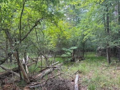 Lake Lot For Sale in Eatonton, Georgia