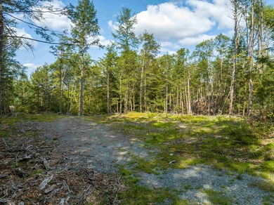 Remarkable opportunity to own water frontage and an island on - photo 11