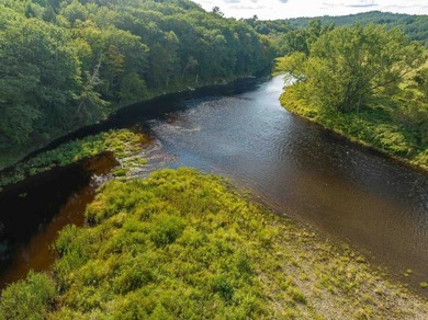 Remarkable opportunity to own water frontage and an island on - photo 18