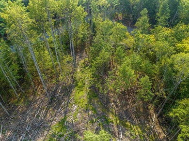 Remarkable opportunity to own water frontage and an island on - photo 23